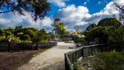 Geothermal trail in the park of Rotorua, New Zeland
