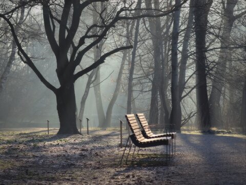 końc&oacute;wka zimy w parku