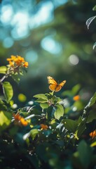 Abstract nature photography featuring spring flowers and butterflies in a vibrant background