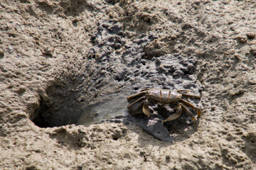 집만드는 게