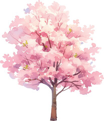 Cherry blossom tree watercolor painting isolated on transparent background.
