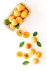 Collect apricots, white background top view copy space, pattern with leaves