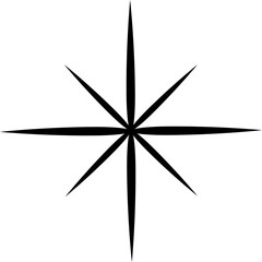 Abstract black and white star icon