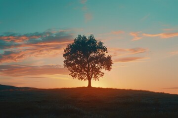 Fototapeta premium A single tree stands alone on a grassy hill, with a peaceful atmosphere