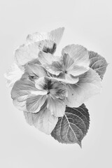 A black and white photo of a bouquet of mixed flowers