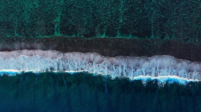 Bora Bora Moorea Mo'orea Tahiti French Polynesia aerial drone coral reef passe birdseye unique wave surf crashes on channel fingers deep aqua blue South Pacific island upwards motion