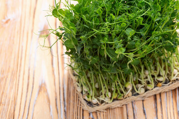 Organic microgreen pea photography . Healthy food . Top view