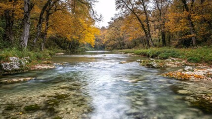 Quiet river bend with clear water and a view of trees in early autumn colors reflecting on the surface with side empty space for text Stockphoto style