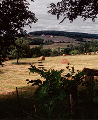 Paysage du Perche