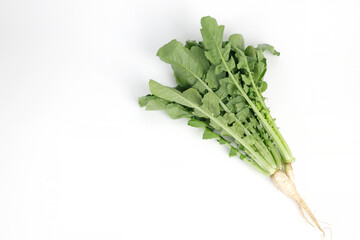 Obraz premium 열무