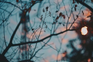 A picture of a tree with leaves on branches