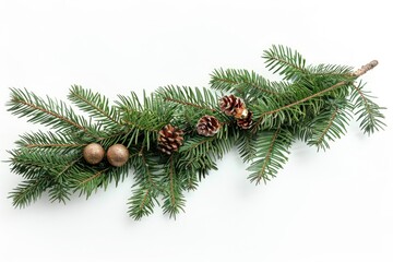 A natural scene of a pine branch with cones and needles, suitable for outdoor or nature-related context