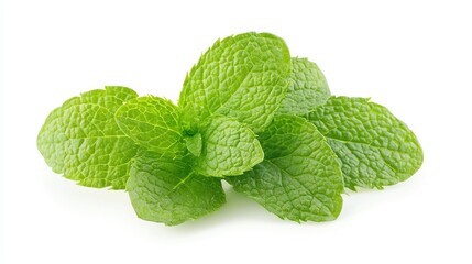 Mint leaves, white isolate background
