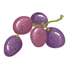 A single branch of ripe grapes. A small bunch of purple berries. Vector illustration of organic vitamin fruit juice. Eco label concept for natural grape flavor. Design of wine, juice, smoothie.