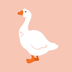Goose, duck, swan standing. Isolated flat hand drawn illustration print on plain background