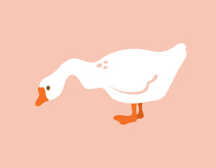Goose, duck, swan standing. Isolated flat hand drawn illustration print on plain background