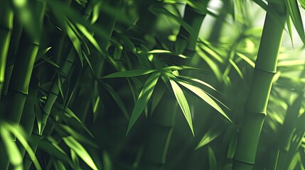 A bamboo forest with gentle light filtering through, creating a serene, peaceful environment for wellness.