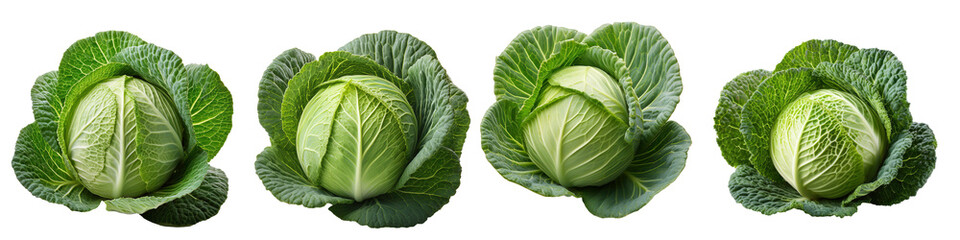 Green cabbage isolated on transparent background 