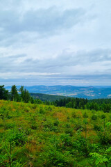 Serene Mountain Landscape with Expansive Sky and Verdant Forest
