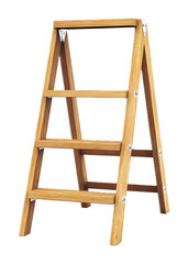 Modern step ladder on a transparent background. isolated background.