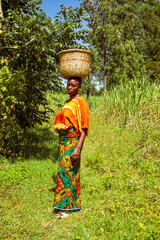 A young African woman carrying a basket on her head while walking across a sugarcane plantation 