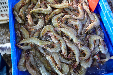 Fresh shrimp for sale in market