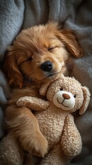 Puppy cuddling with plush toy, cozy atmosphere, gentle illumination, heartwarming scene of innocence and comfort