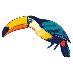 Obraz premium Vector of a toucan with a large colorful beak