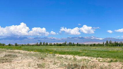 Beautiful mountain summer landscape with green trees in the distance. View of the white cumulus...