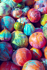 Full frame background of Pumpkins. Many Pumpkins on the grass. Autumn background. Halloween, Thanksgiving, Autumn, Harvest background. Vertical banner