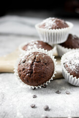 Chocolate muffins with sugar. on a gray background.dessert