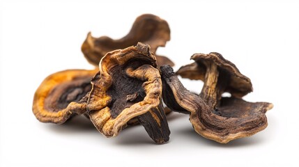 Dried Mushrooms: A Rustic Culinary Delight | Earthy Flavors and Textures