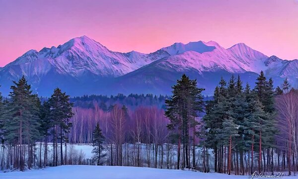 Road filled with snow and trees, mountains in the background