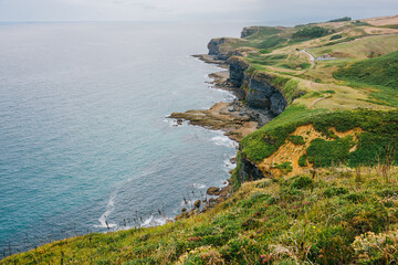 Dramatic coastal cliffs with lush green grass overlooking a calm