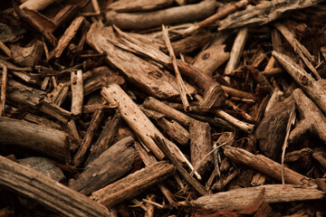 Wood chips, Texture background, Texture background of bark wood chips from the forest, Brown, Forest