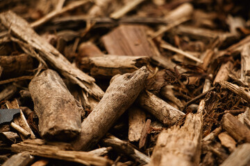 close up of sticks, Wood chips, Small pile of wood chips, Wood chips for smoking or recycle,...