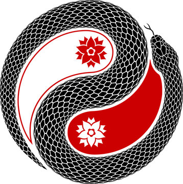 Vector tattoo design of snake coiled in shape of Yin Yang symbol. Isolated black serpent silhouette showing taijitu sign of balance and harmony.