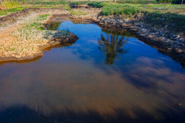 Fish pond in the dry season on a sunny day