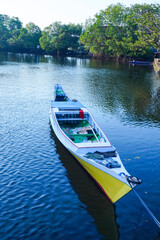 Obraz premium View of the river and shady green trees and boats, during the day