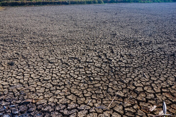 The texture of the dry soil breaks in the dry season in the afternoon