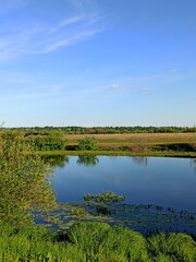 landscape with river