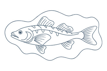 High-Quality Lingcod Fish Line Art Vector