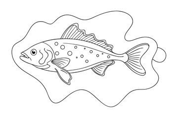 High-Quality Lingcod Fish Line Art Vector