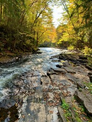 Salmon River Downstream of High Falls.