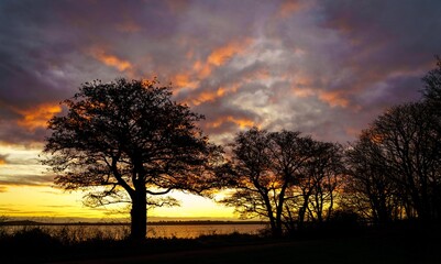 Sunrise at Penrhos Nature Park Anglesey Uk