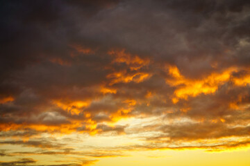 Fototapeta premium Sunrise at Penrhos Nature Park Anglesey Uk