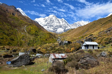 Beautiful landscape of small 
huts  blue sky ,white cloud green and brown and grasses in autumn  season between mbc to anapurna basecamp , nepal trekking .world class trekking