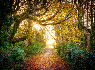 Sunrise at Penrhos Nature Park Anglesey Uk