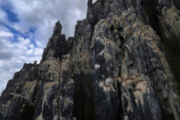 The spectacular Alkefjellet cliff with guillemots, dolerite columns, Svalbard