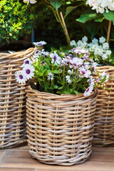 A wicker basket filled with white and purple flowers set against a lush garden background, perfect for spring and garden-themed decor with a rustic, natural charm